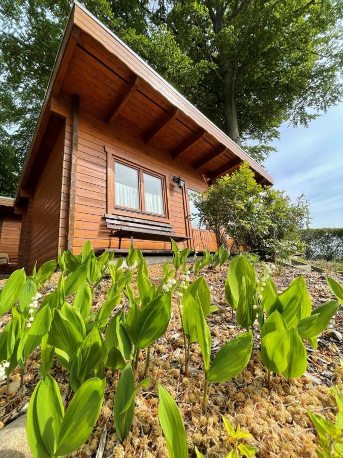 Forsthaus Langenberg Hotel Херингсдорф Екстериор снимка